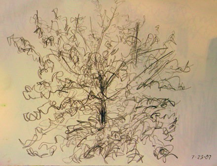 7.24.07 Pencil tree study #9