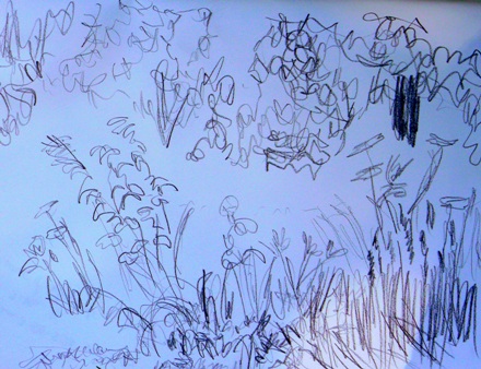 7.24.07 Pencil of flowers 11