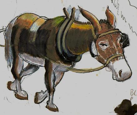 final mule coloring study
                for wall mural
