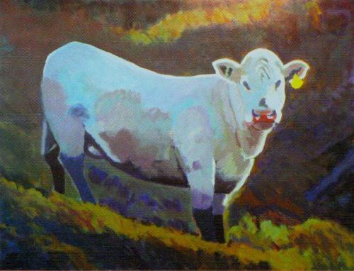 Charile the Charbolais by Karl Marxhausen