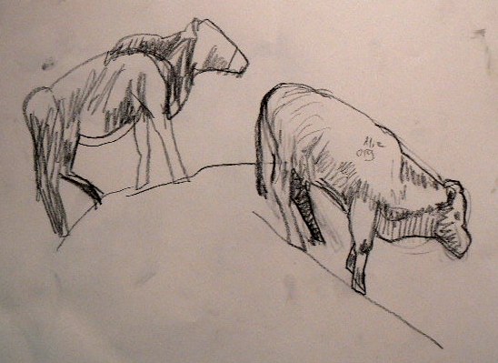 cows going up and down in charcoal