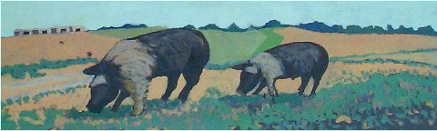 Hampshire Hogs 12 x 24 Acrylic