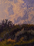 Hillcrest Cloud by Karl Marxhausen
