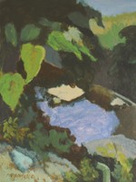 Magnolia Creek by Karl Marxhausen 12 x 9
