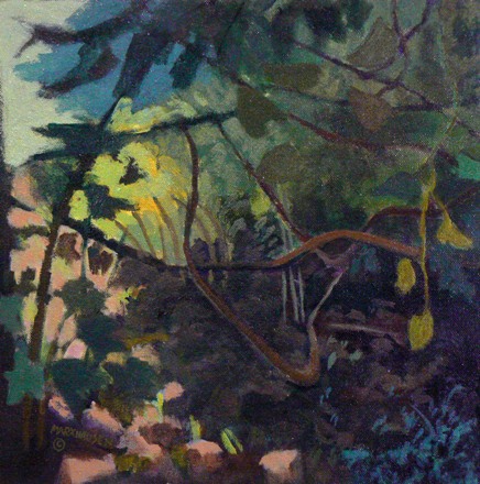 Jungle in the Side Yard  20 x 20  cradled panel