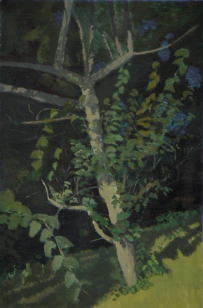 Poplar Aglow by Karl Marxhausen