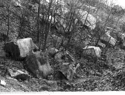 rocks for Cattle Crossing