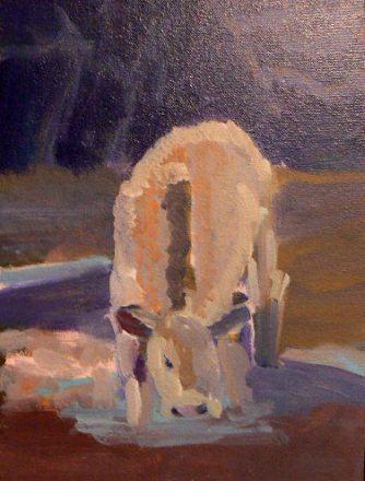 12x9 color study_white cow drinking