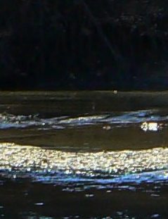 cropped photo of river bed