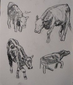 four cow charcoal