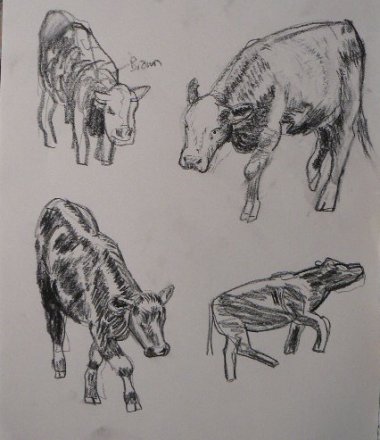 charcoal cow positions