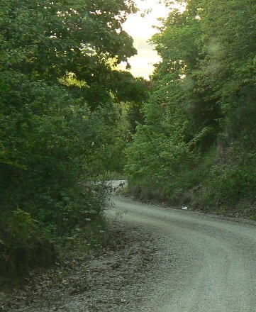 photo of road bend